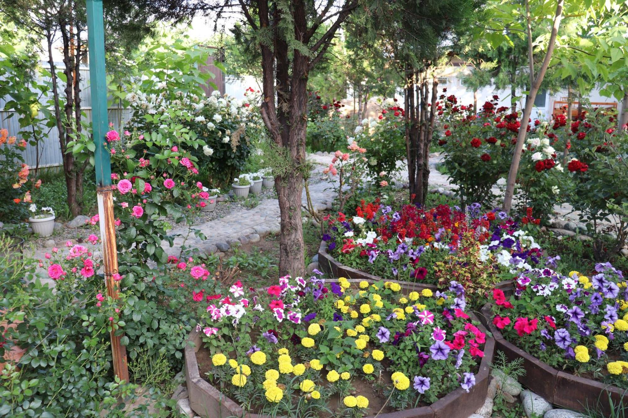 Happy Nomads Yurts & Hostel Karakol Exterior photo