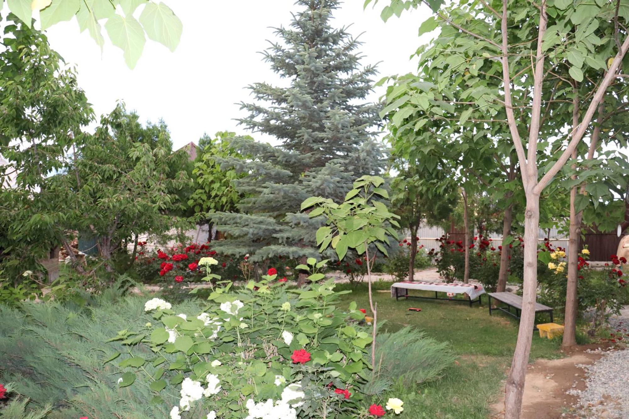 Happy Nomads Yurts & Hostel Karakol Exterior photo
