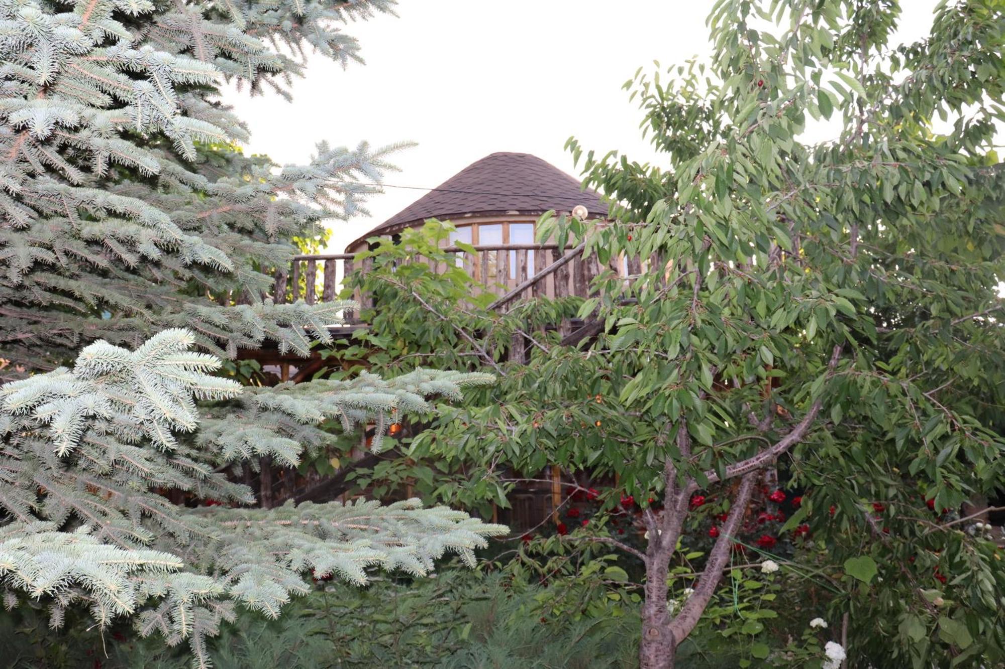 Happy Nomads Yurts & Hostel Karakol Exterior photo