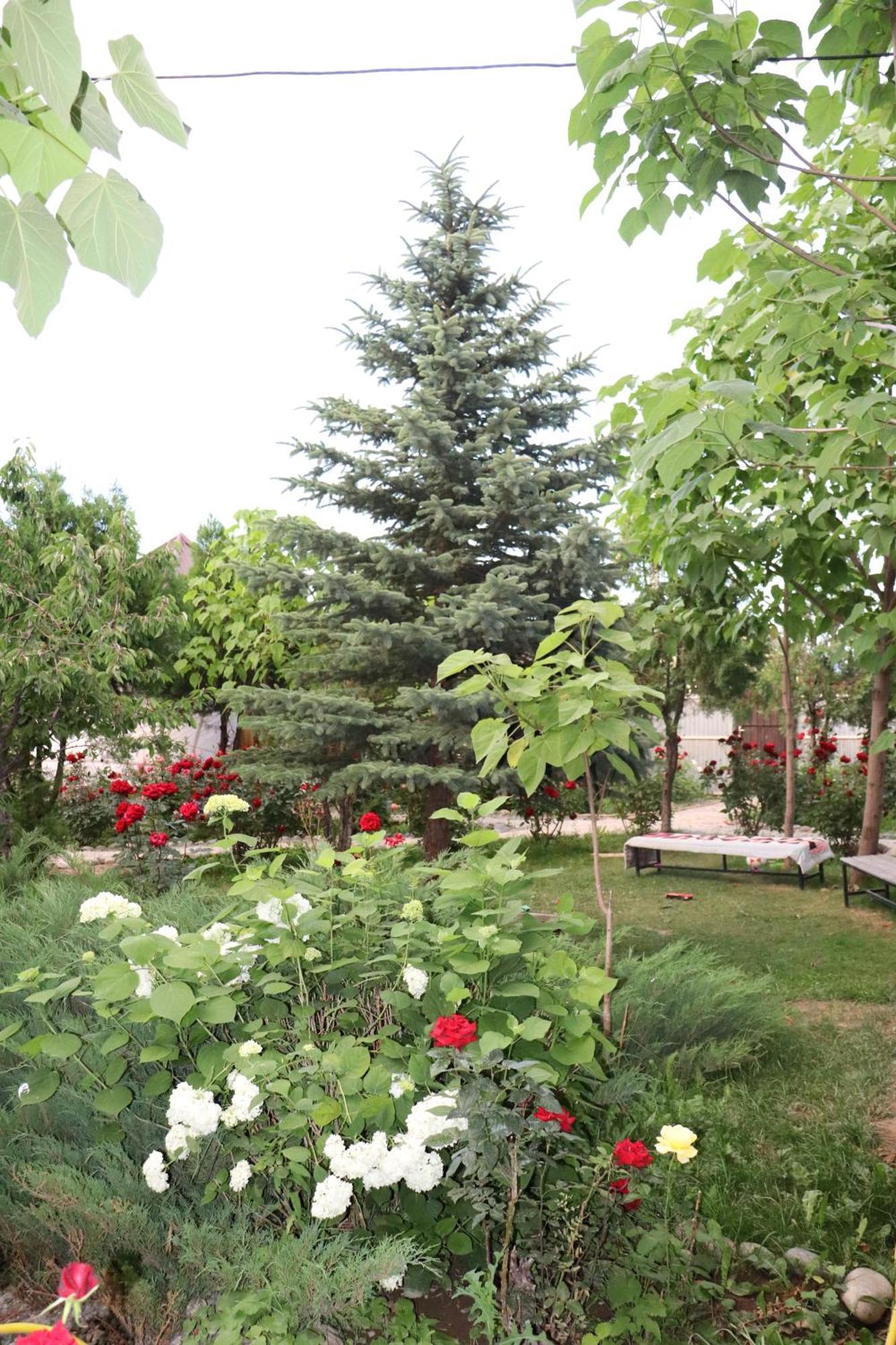 Happy Nomads Yurts & Hostel Karakol Exterior photo