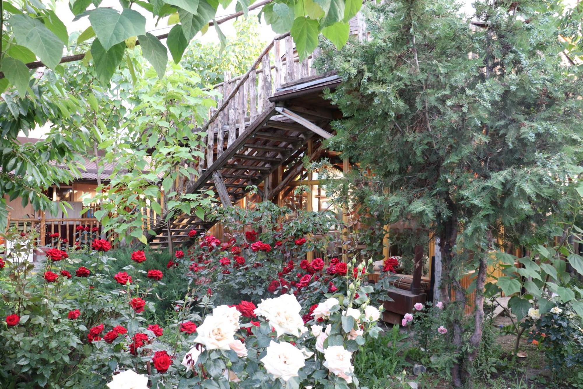 Happy Nomads Yurts & Hostel Karakol Exterior photo