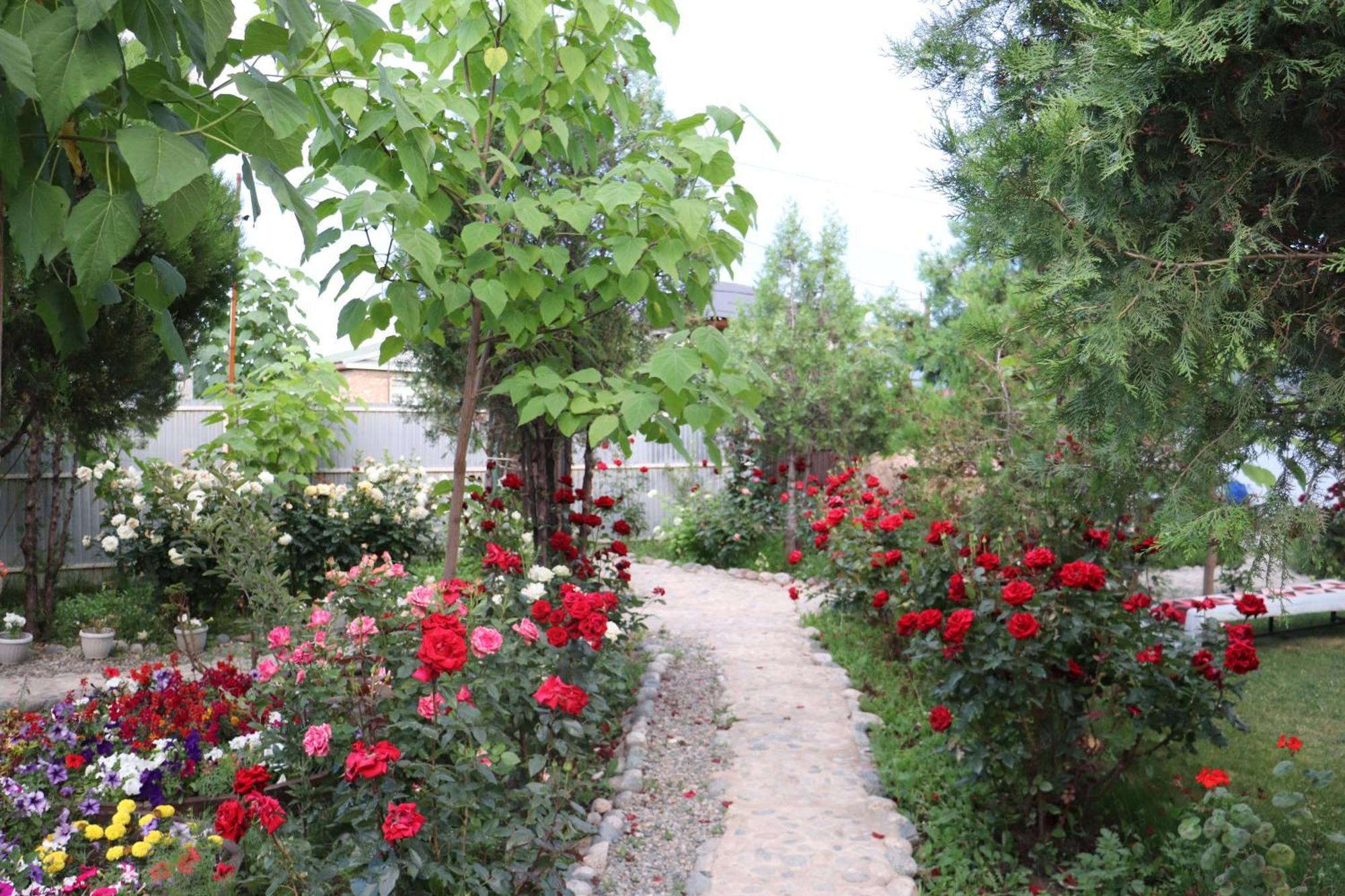Happy Nomads Yurts & Hostel Karakol Exterior photo