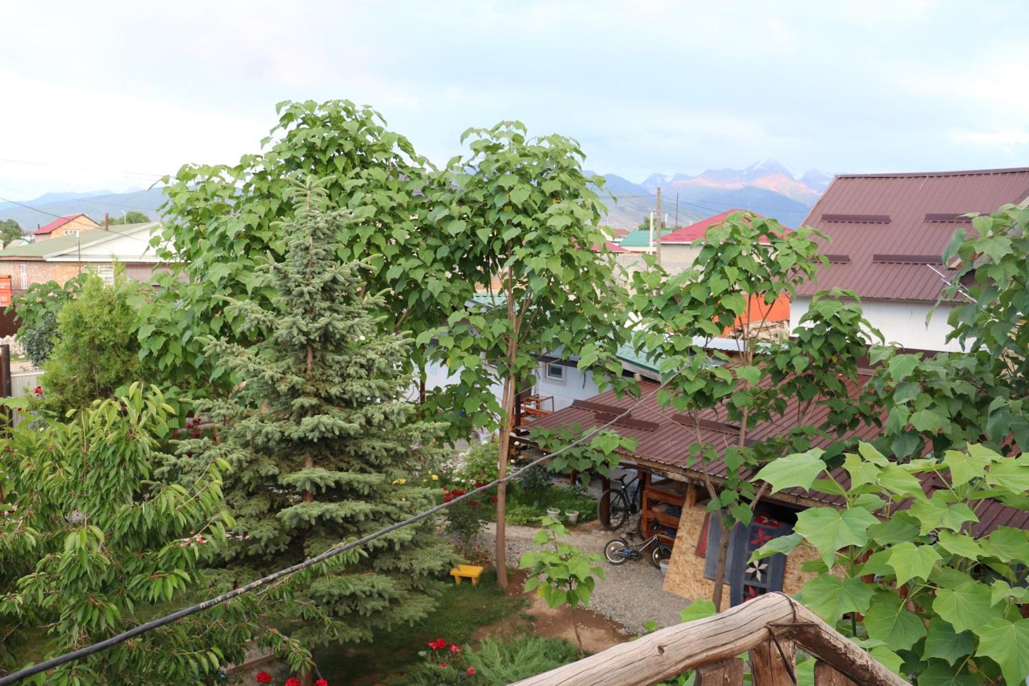 Happy Nomads Yurts & Hostel Karakol Exterior photo