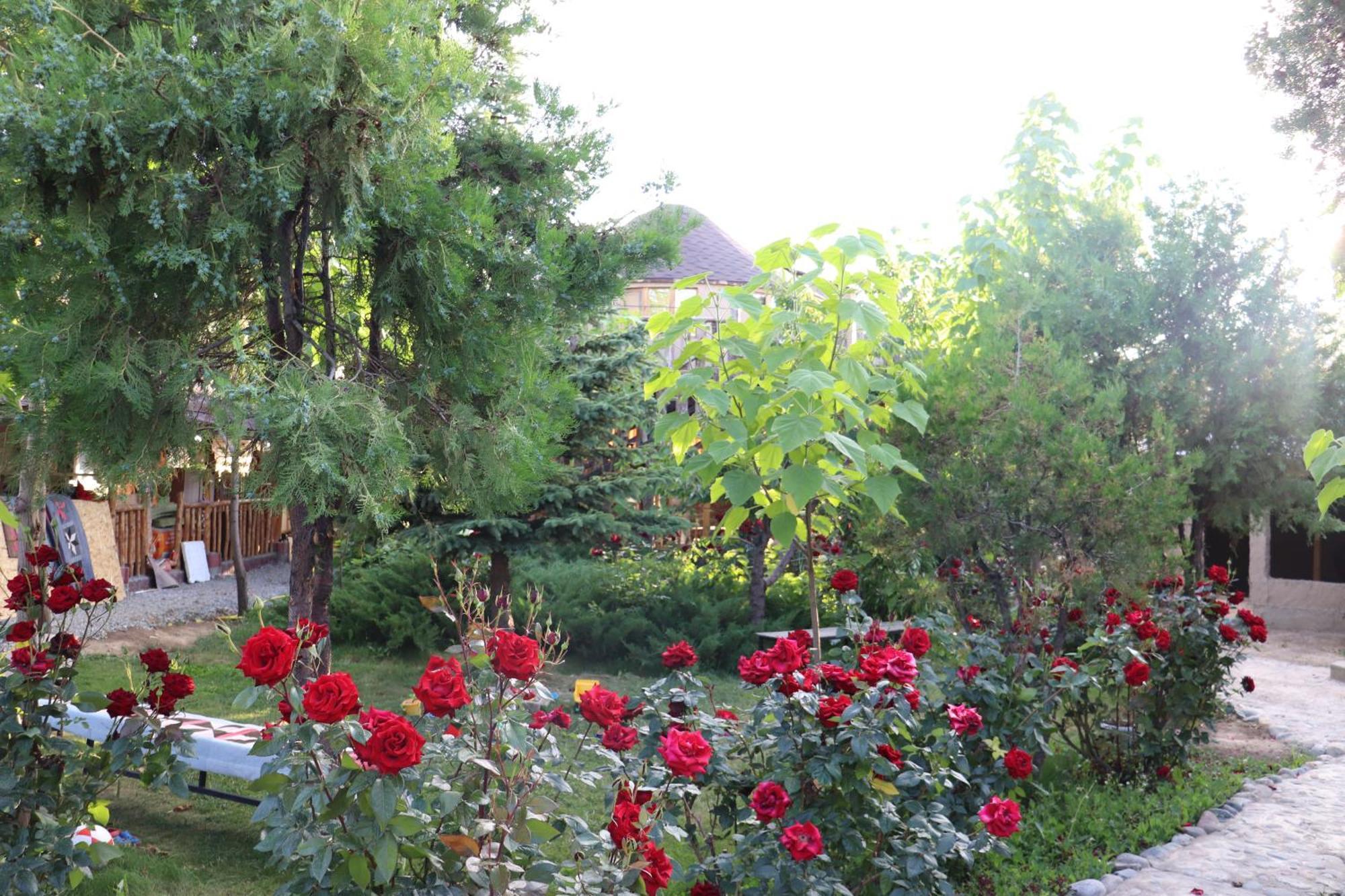 Happy Nomads Yurts & Hostel Karakol Exterior photo