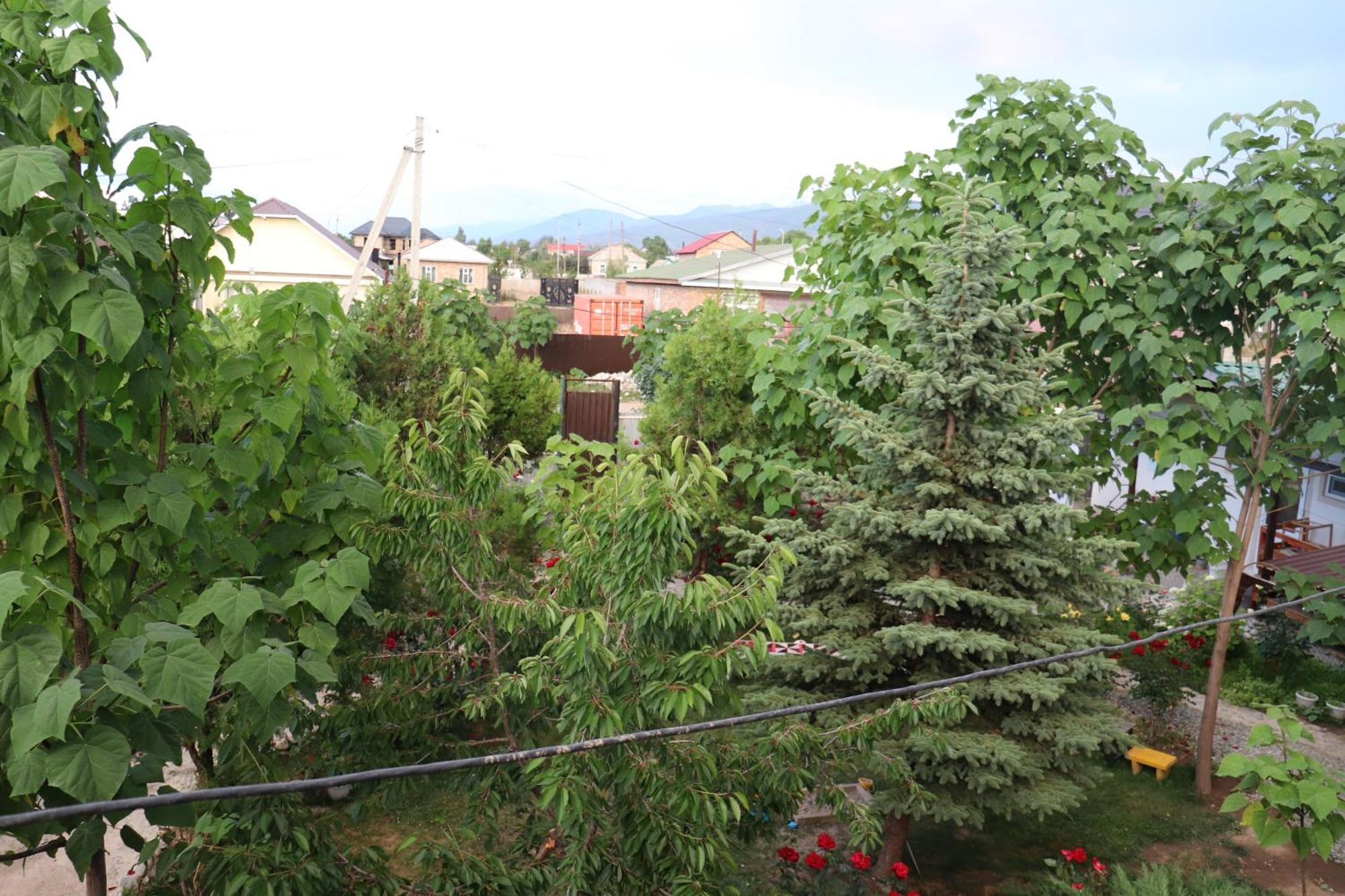 Happy Nomads Yurts & Hostel Karakol Exterior photo