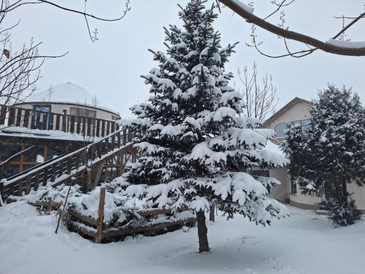 Happy Nomads Yurts & Hostel Karakol Exterior photo