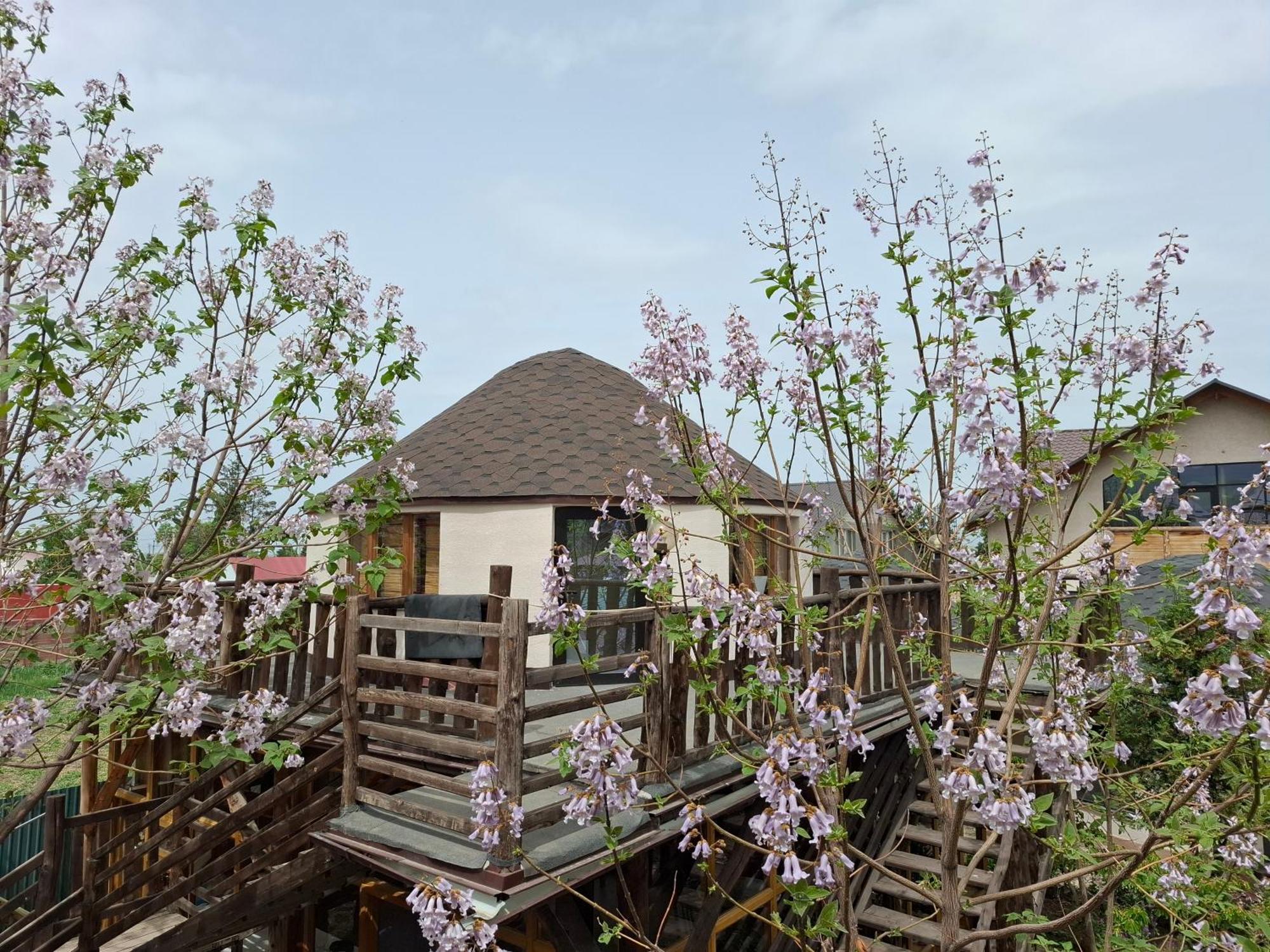 Happy Nomads Yurts & Hostel Karakol Exterior photo