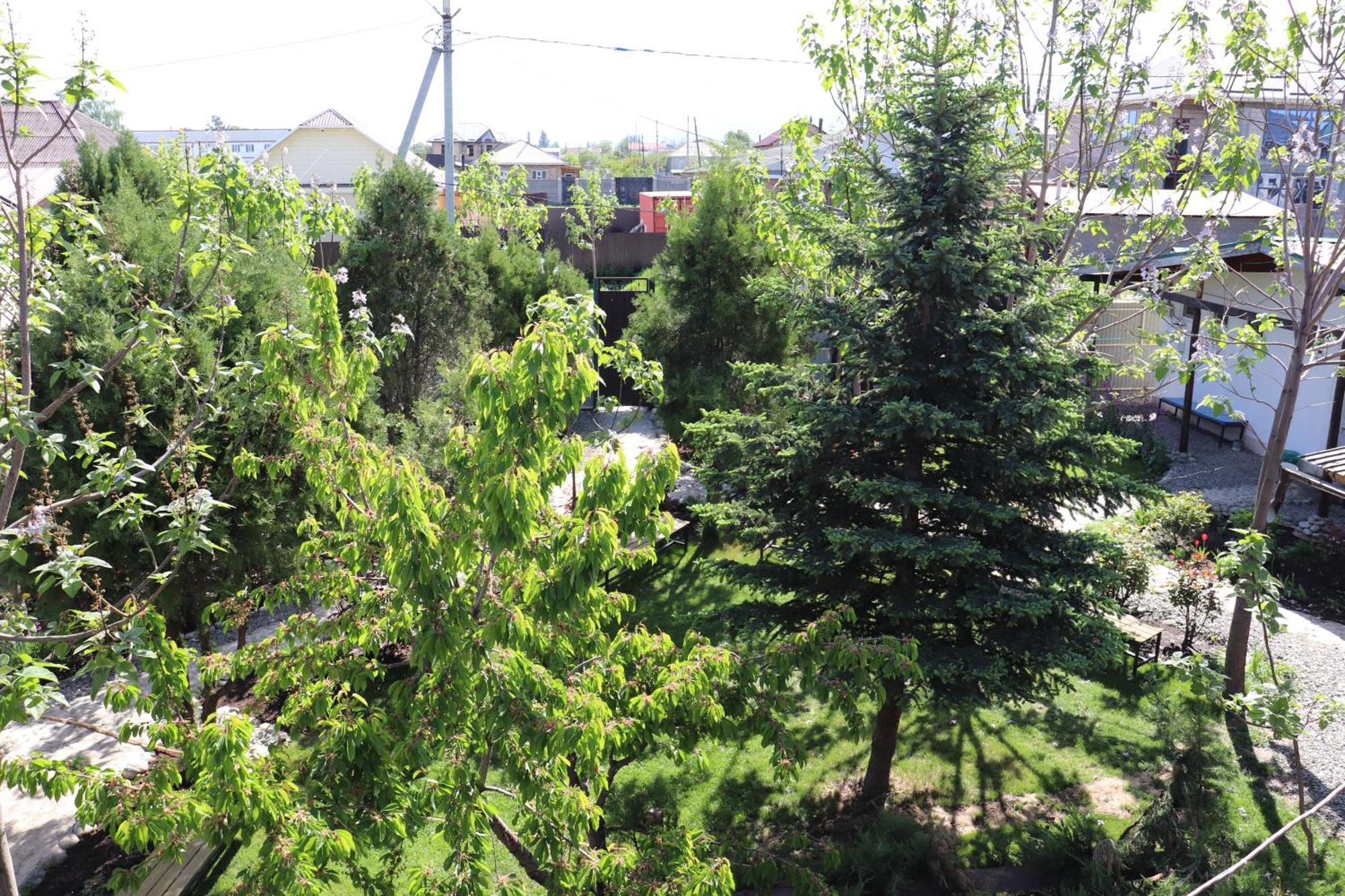 Happy Nomads Yurts & Hostel Karakol Exterior photo